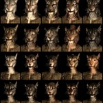 KHAJIIT