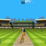 Stick cricket (4)_result