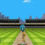 Stick cricket (5)