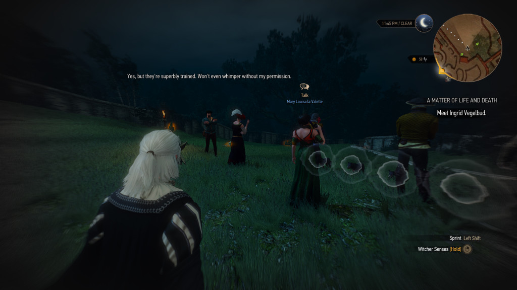 The Witcher 3: Wild Hunt Review