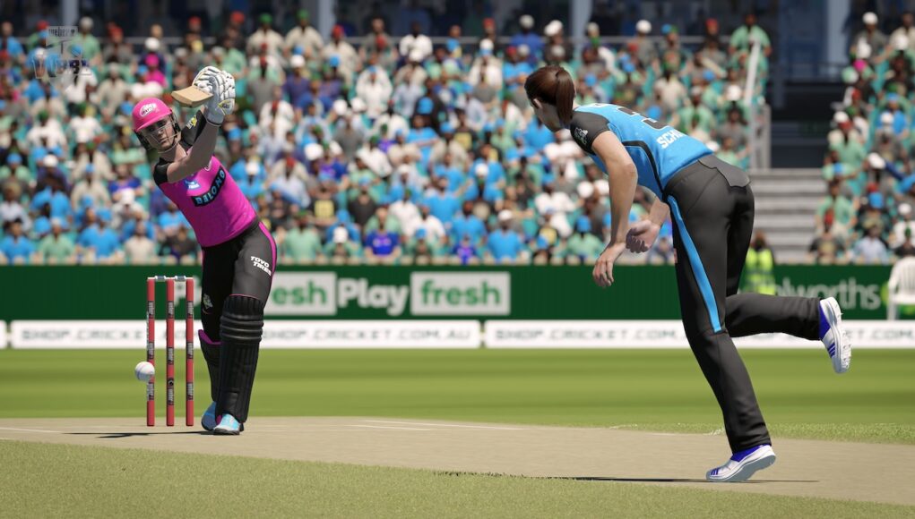 Cricket 24 Screenshot