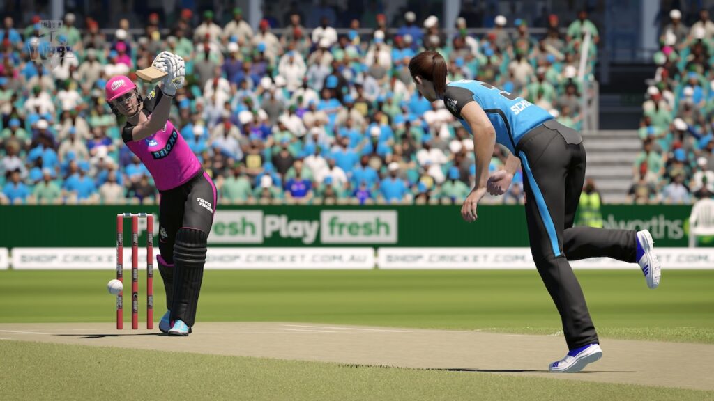 Cricket 24 Screenshot